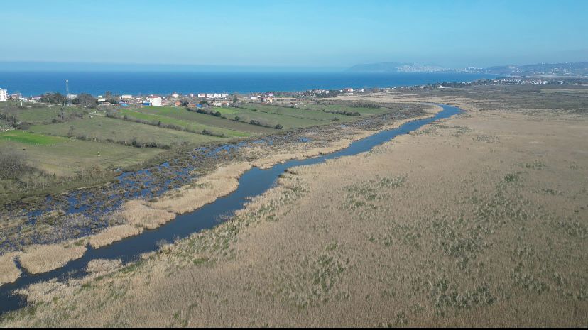 WhatsApp Image 2024-03-05 at 11.34.37 (1).jpeg