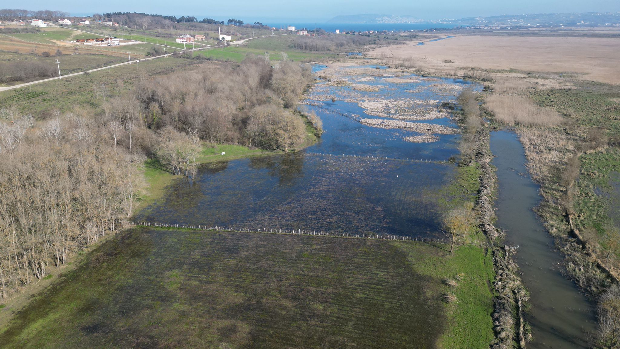 WhatsApp Image 2024-03-05 at 11.34.37 (2).jpeg