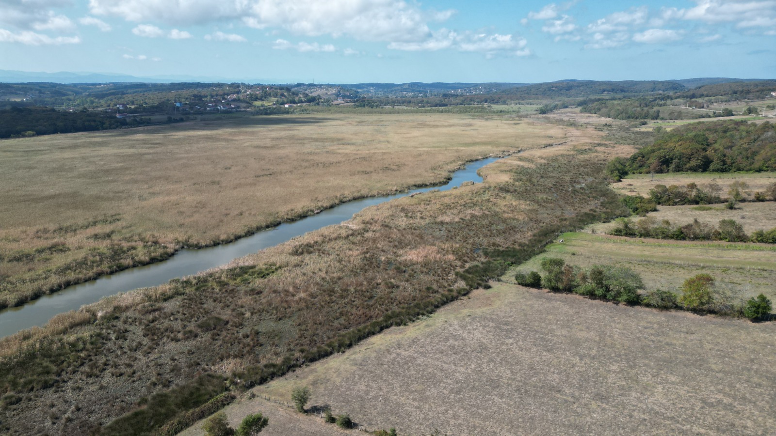 WhatsApp Image 2024-03-05 at 11.34.37.jpeg