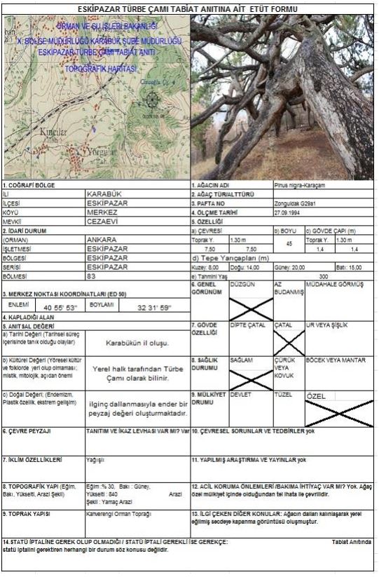 eskipazar türbess.JPG