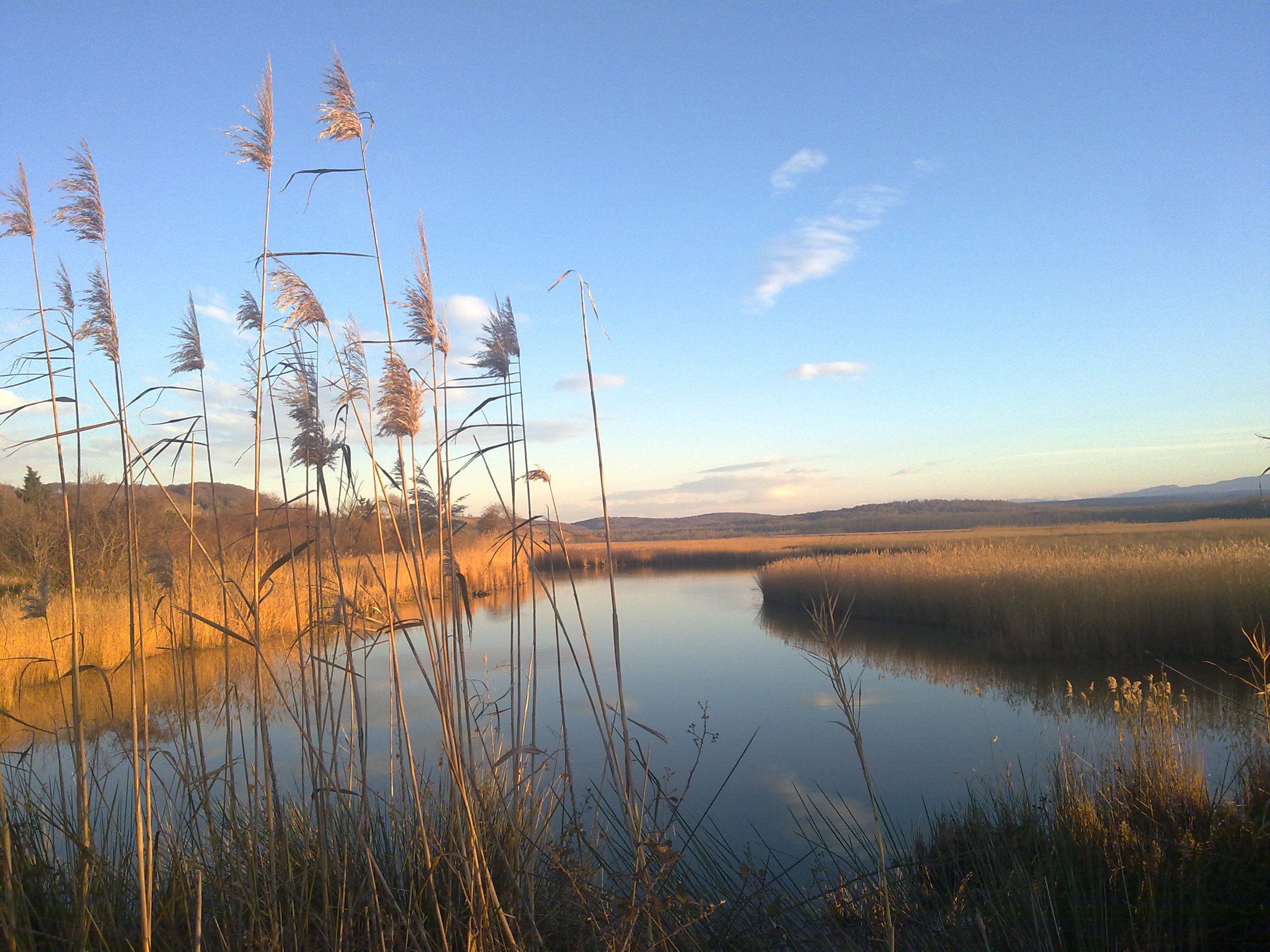 Ahmet Gökgün_12.jpg