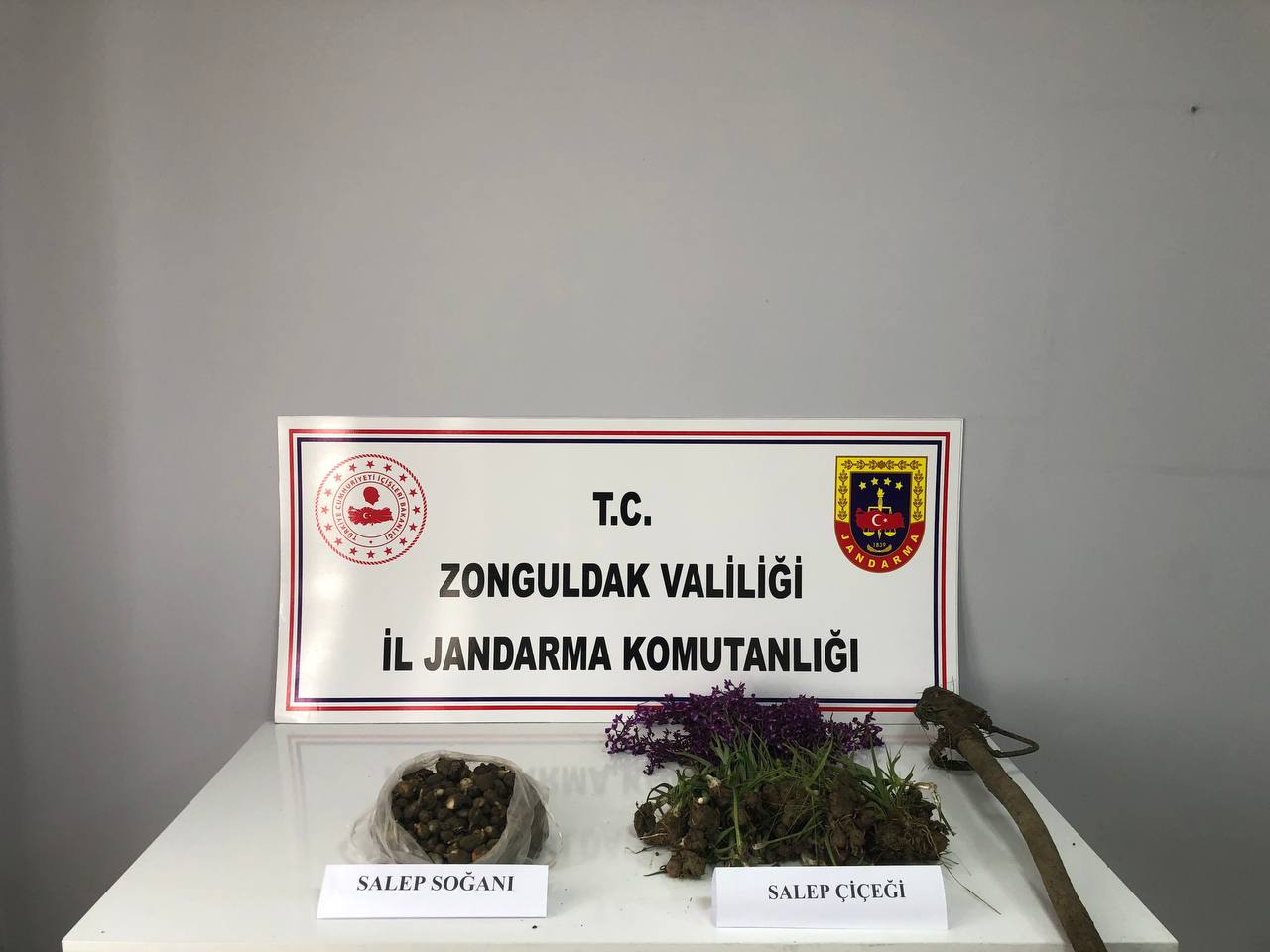 Zonguldak’ ta Nesli Tehlike Altındaki Salep Soğanlarını Toplayan Şahıslara 2 Milyon 647 Bin 465 Lira Ceza…